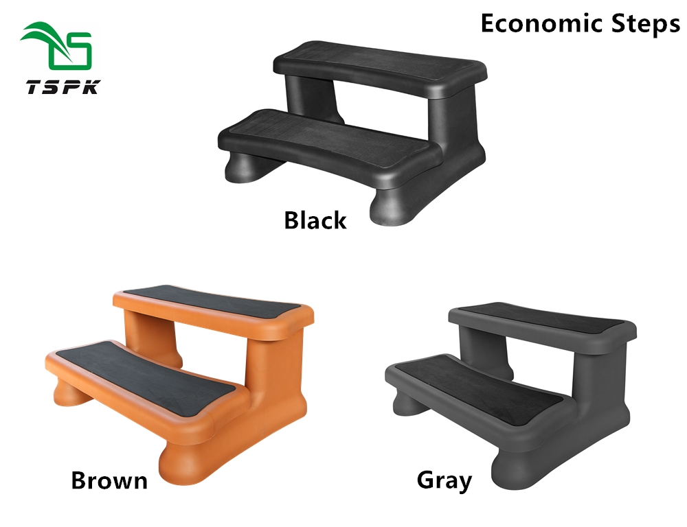 TSPK Economic Steps